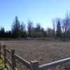 Outdoor arena 1